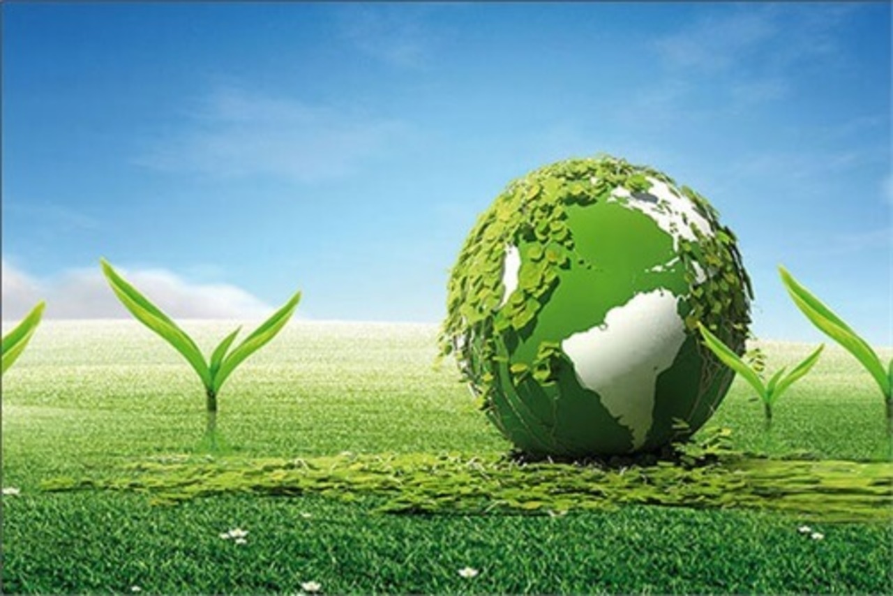 Available environment. Eco-friendly environment. Environment картинки. Всемирный день окружающей среды. Environment надпись.