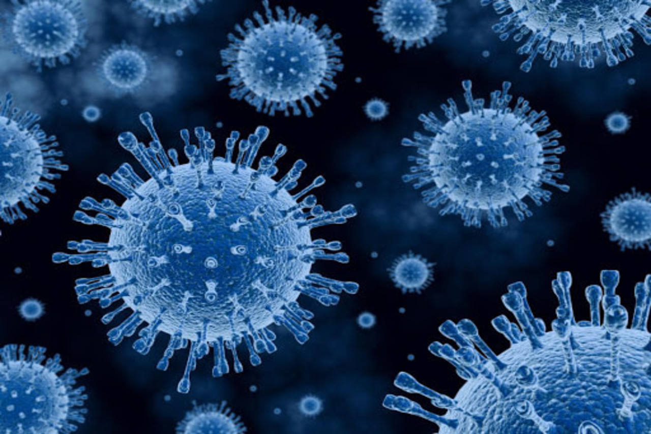 آنچه باید در مورد ویروس ها باید بدانیم