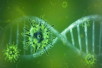 ویروس کرونا و جهش های ژنتیکی