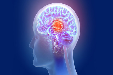 شناسایی سلول‌هایی که بر اثر پارکینسون و زوال عقل در مغز از بین می‌روند