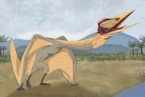 کشف فسیل «اژدهای مرگ» در آرژانتین؛ یکی از ترسناکترین موجودات ماقبل تاریخ