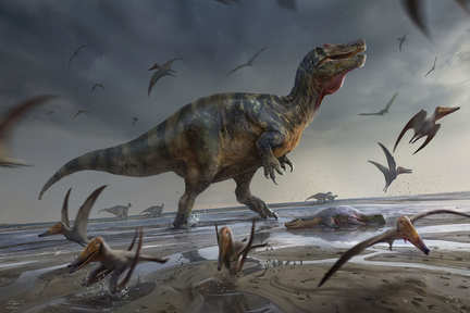 کشف فسیل بزرگ‌ترین دایناسور گوشت‌خوار اروپا در بریتانیا