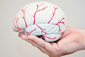 زونا خطر سکته مغزی را افزایش می دهد