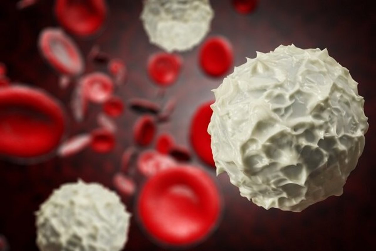 دانشمندان ایرانی سرطان خون را با «ژن‌درمانی» درمان کردند