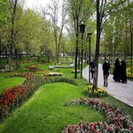 پیاده روی در پارک از افسردگی پس از زایمان جلوگیری می کند