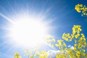 مراقب اشعه خورشید باشید/ ماجرای گرمای هوا و سرطان پوست