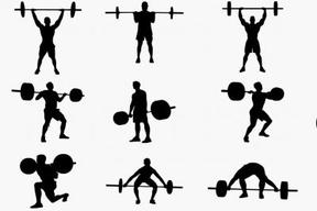 هر نوع ورزش وزنه برداری به عضله سازی کمک می کند