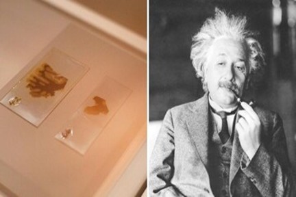 این بلا پس از مرگ بر سر مغز اینشتین آمد!/ عکس