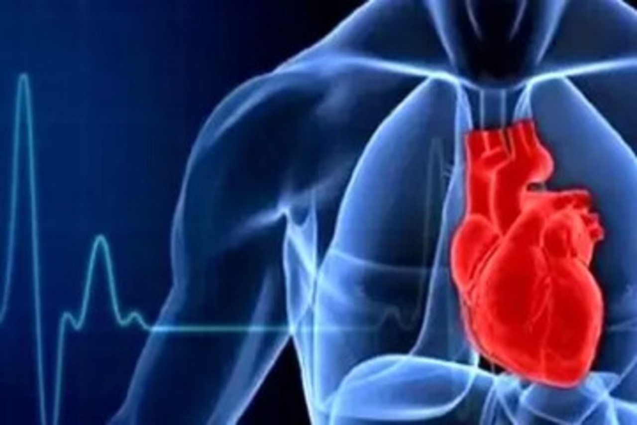 کشف پروتئینی که باعث بیماری قلبی می‌شود