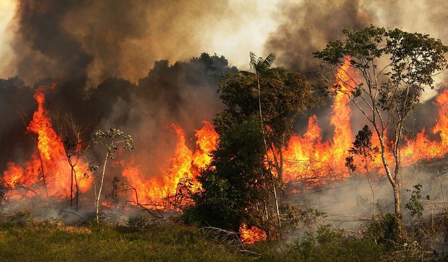 علت آتش سوزی جنگل های زاگرس
