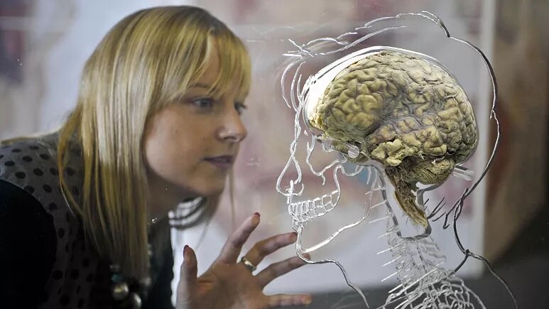 مغز مرد و زن متفاوت است؟
