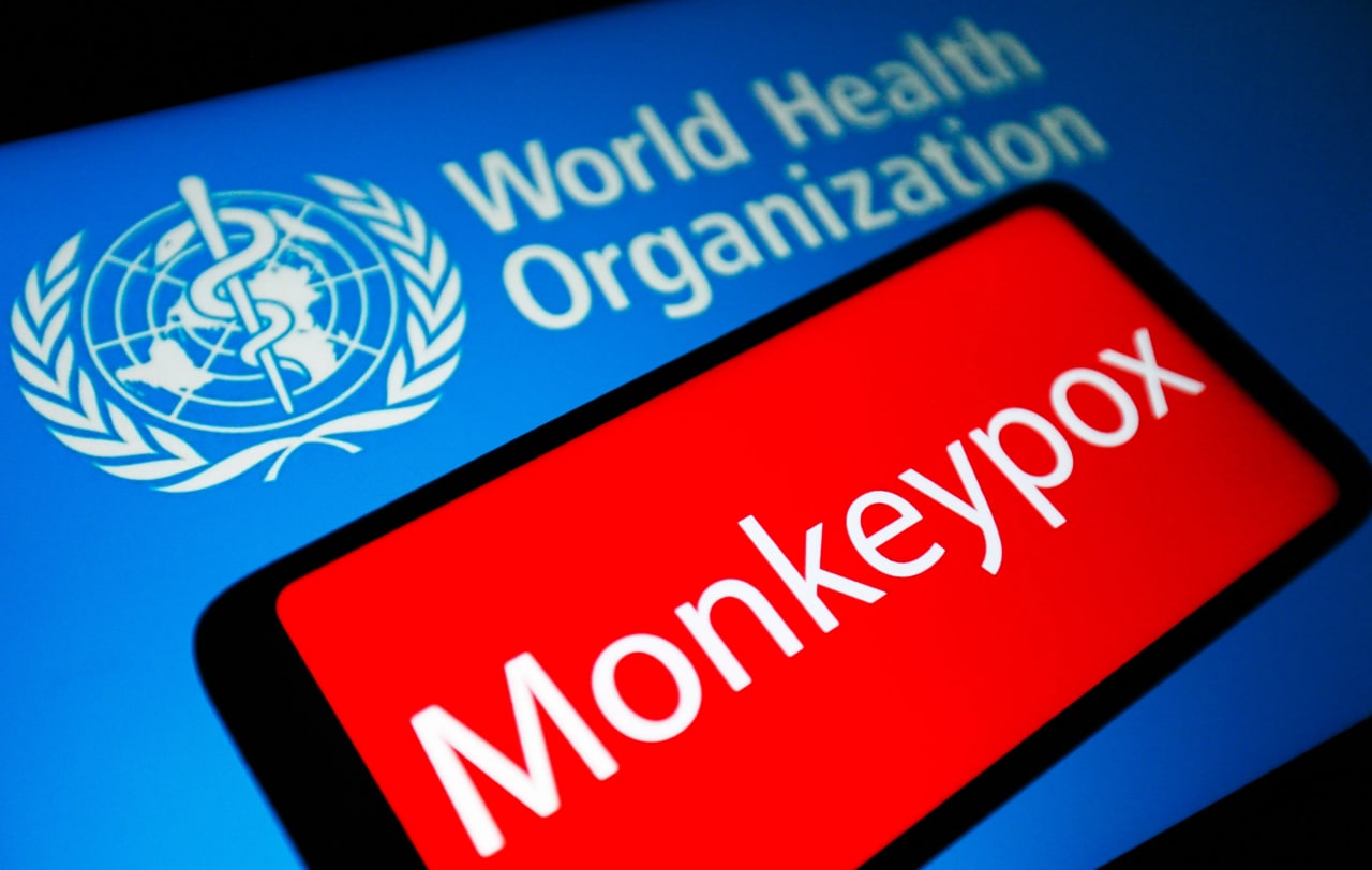  سازمان جهانی بهداشت: آبله میمون برای سلامت عمومی خطر زیادی ندارد 