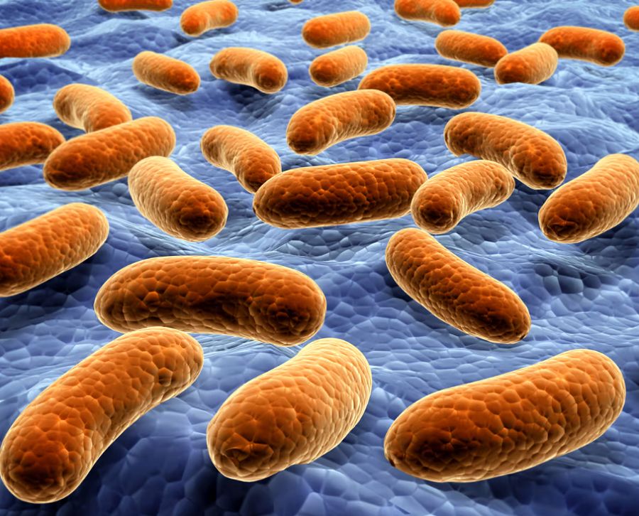  پانسمان هوشمند هیدروژل با شناسایی باکتری، آنتی‌بیوتیک آزاد می‌کند 