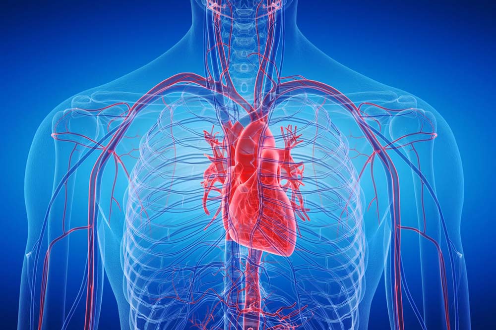  توسعه ژل قابل تزریقی که می‌تواند قلب را پس از سکته ترمیم کند 
