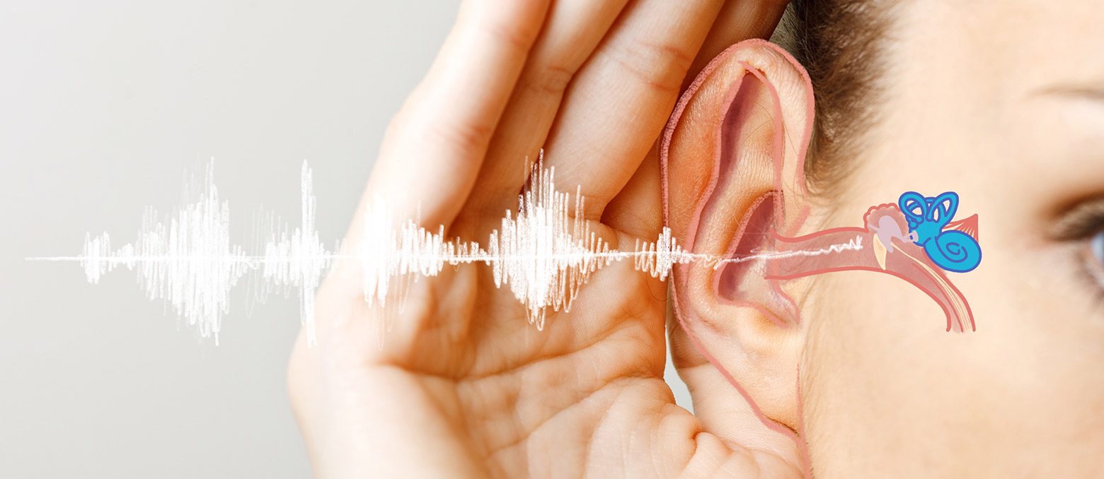 انواع کم شنوایی چیست؟